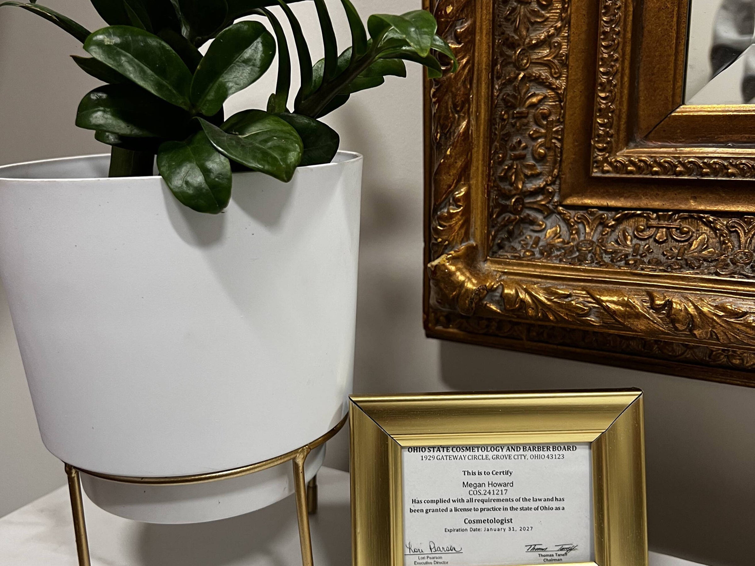 Westlake Salon Appointments | Megan Howard Hair